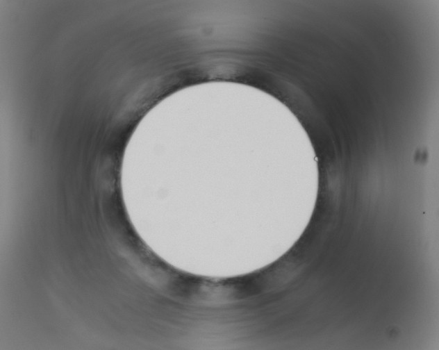 X0000113170311200910161314