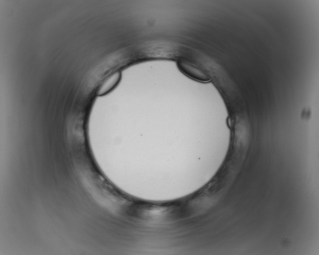 X0000113170312200910161314