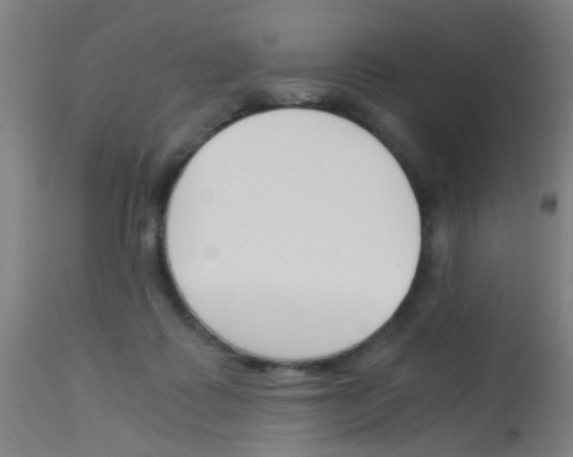 X0000113170315200910161314