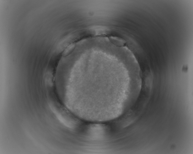 X0000113170316200910161314