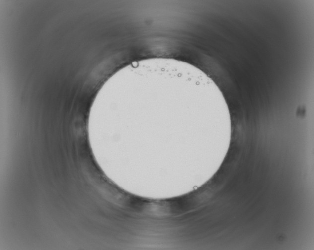 X0000113170317200910161314