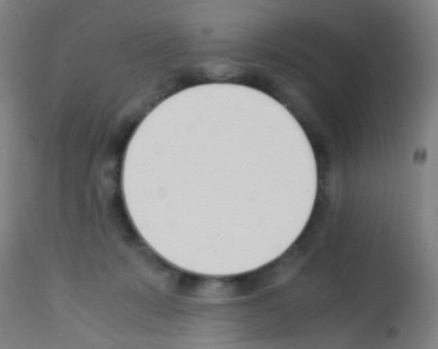 X0000113170319200910161314
