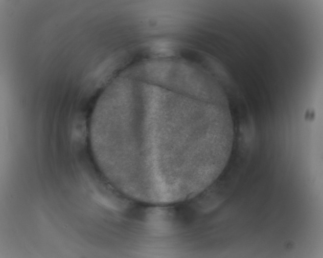 X0000113170320200910161314