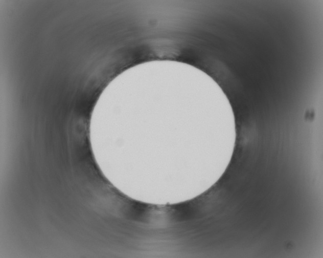 X0000113170321200910161314