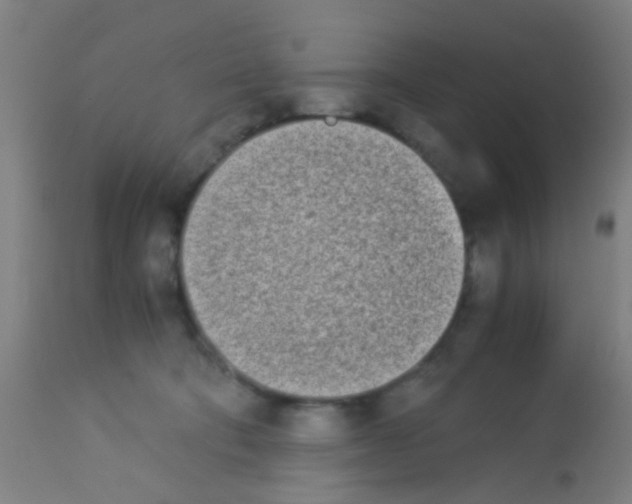 X0000113170322200910161314