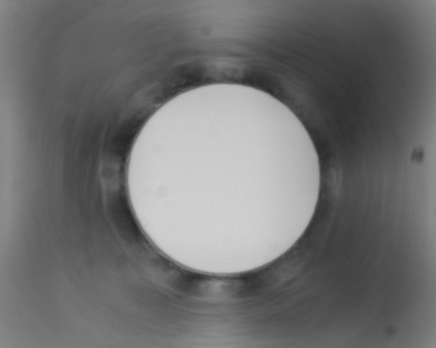 X0000113170323200910161314