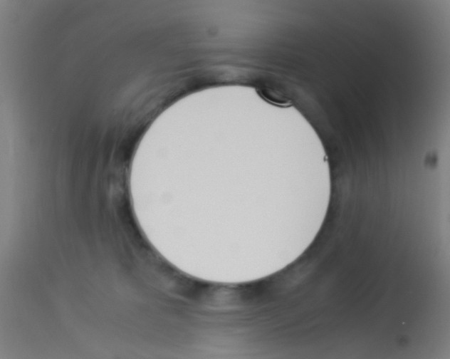 X0000113170325200910161314