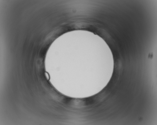 X0000113170327200910161313