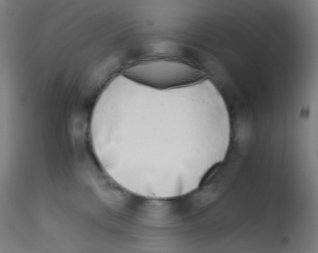 X0000113170328200910161313