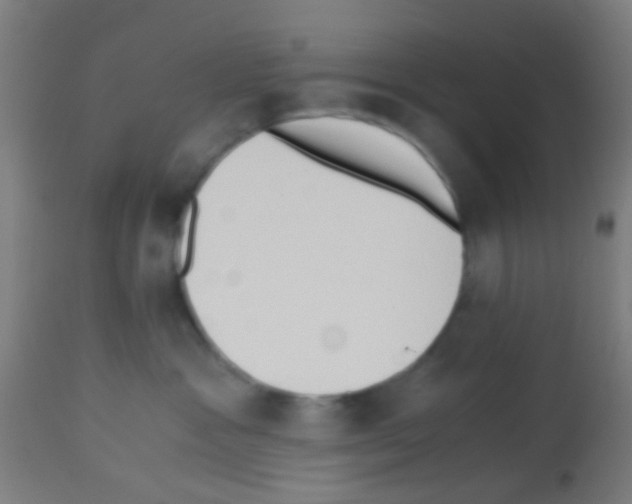 X0000113170333200910161313
