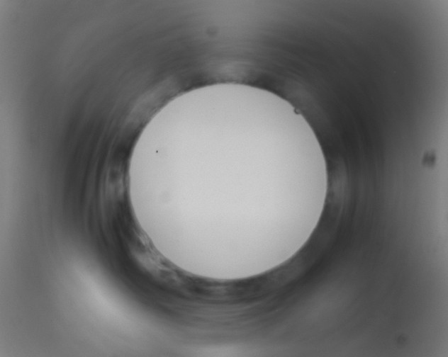 X0000113170334200910161313