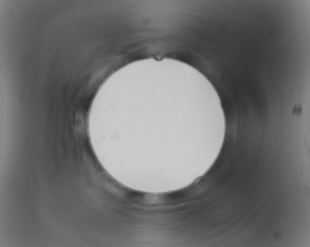 X0000113170335200910161313
