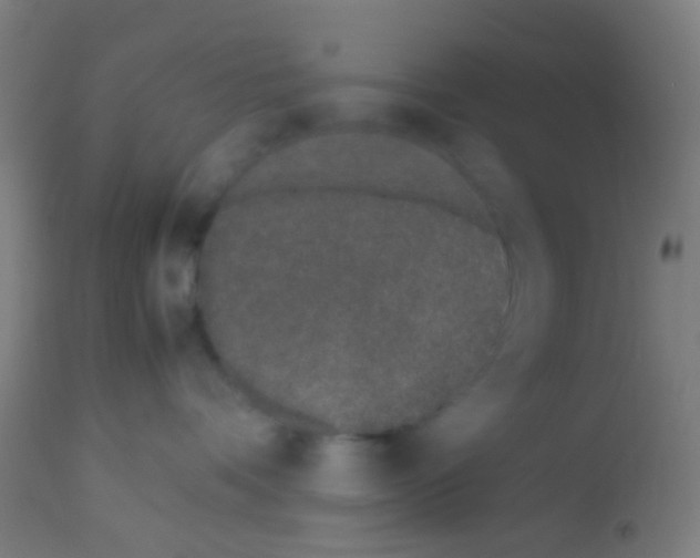 X0000113170336200910161313