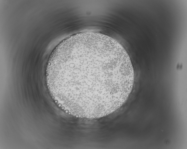 X0000113170337200910161313