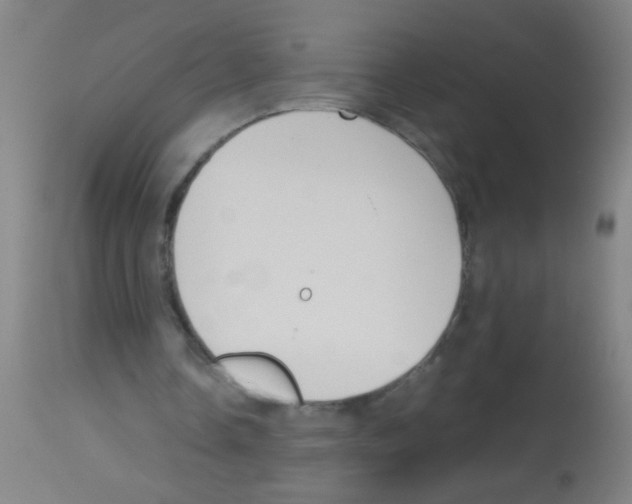 X0000113170338200910161313