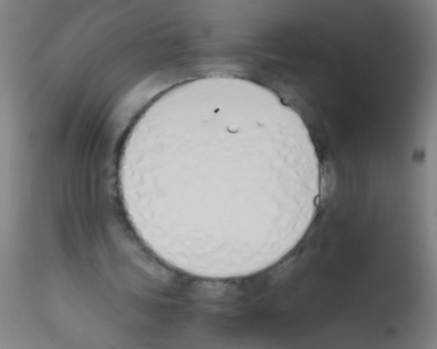 X0000113170339200910161313