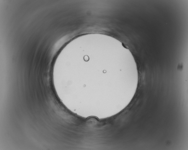 X0000113170340200910161313