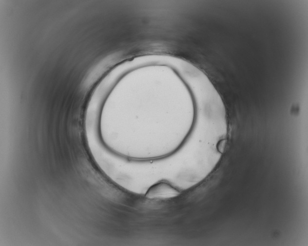 X0000113170341200910161313