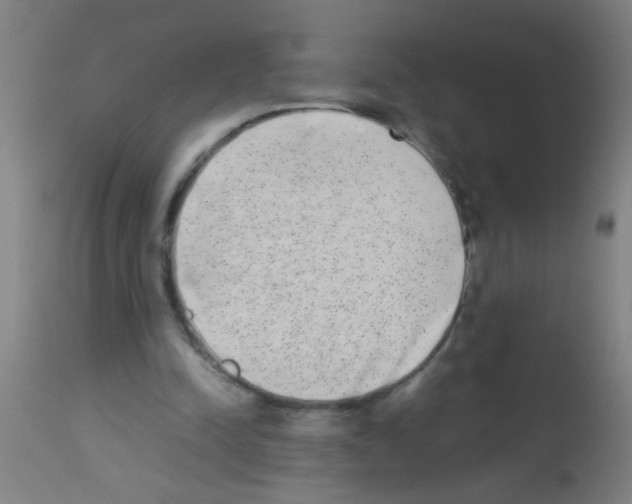 X0000113170342200910161313