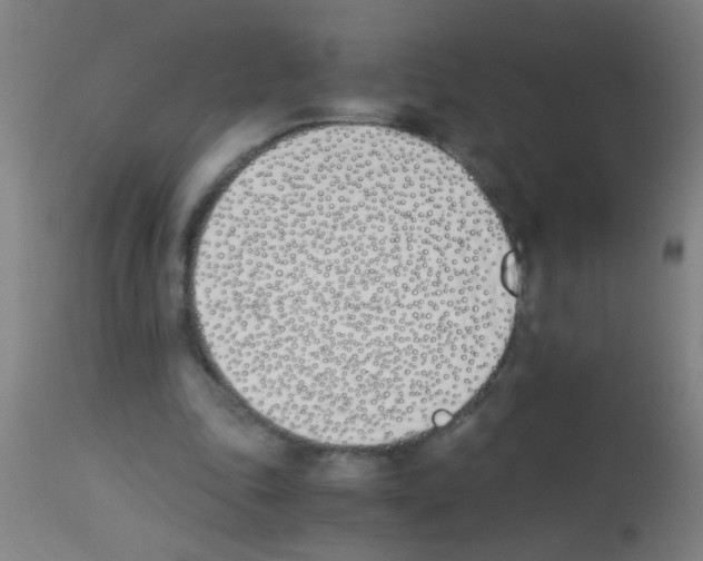 X0000113170343200910161313