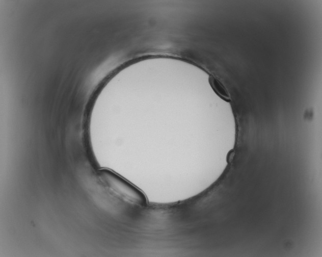 X0000113170344200910161313