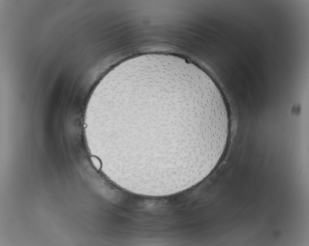 X0000113170345200910161313