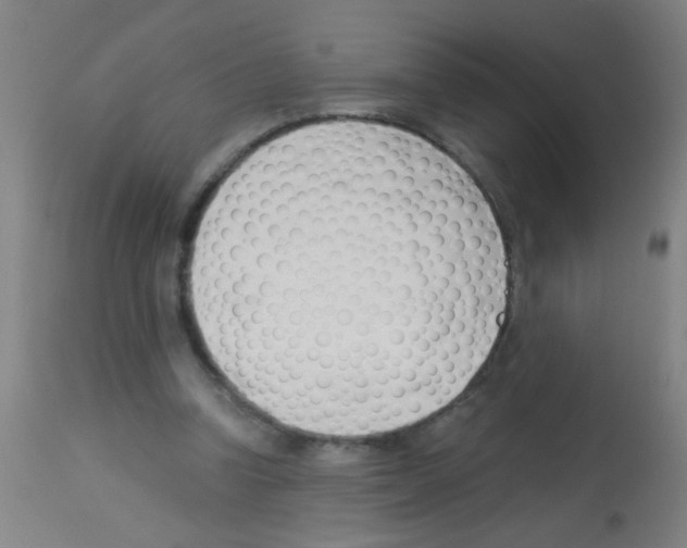 X0000113170346200910161313