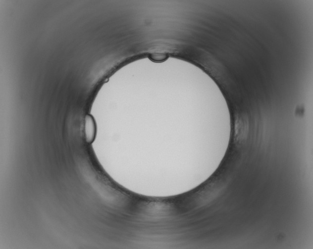 X0000113170348200910161313