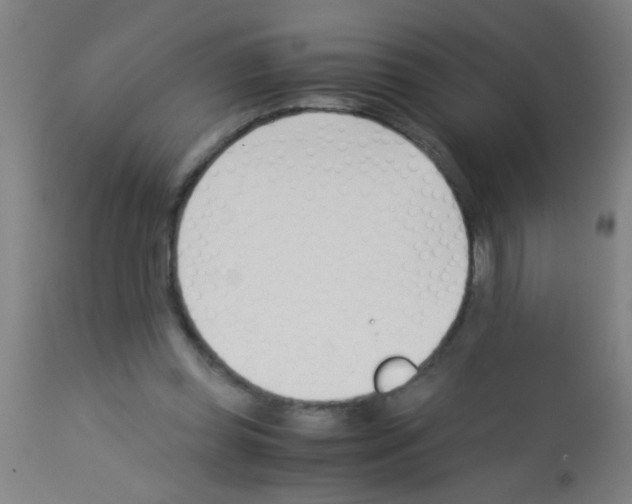 X0000113170349200910161313