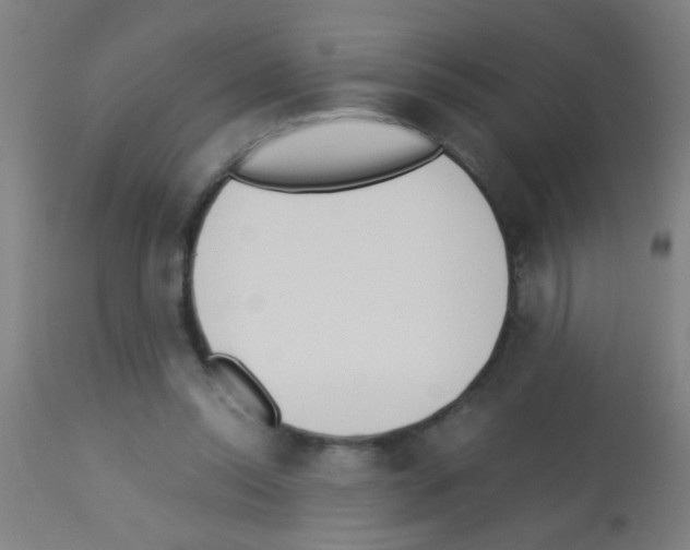 X0000113170350200910161313