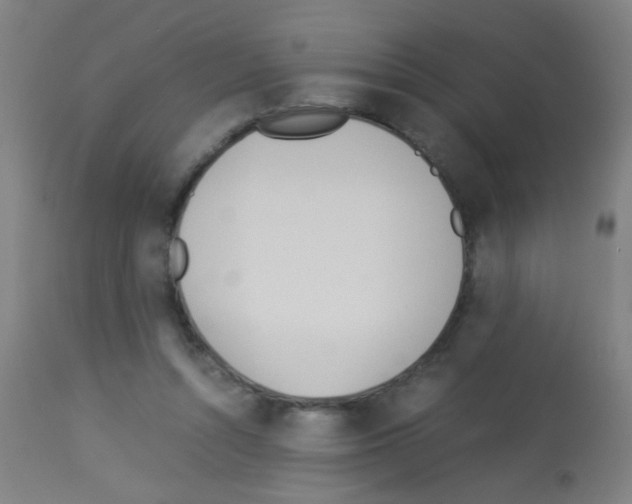 X0000113170352200910161313