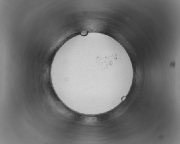 X0000113170355200910161313