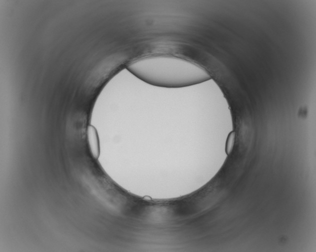 X0000113170356200910161313