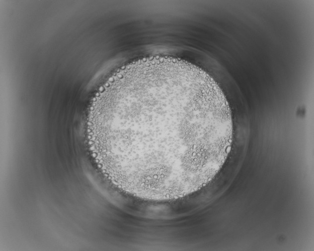 X0000113170357200910161313