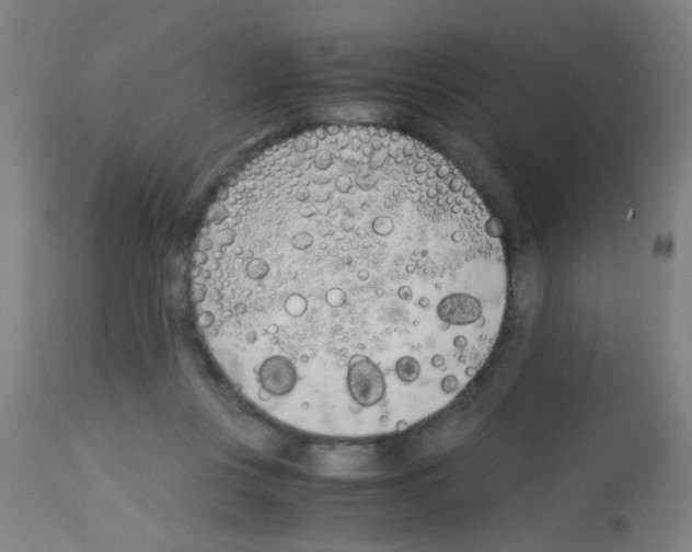 X0000113170359200910161313