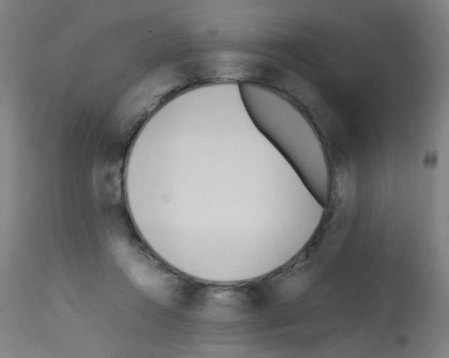 X0000113170360200910161313