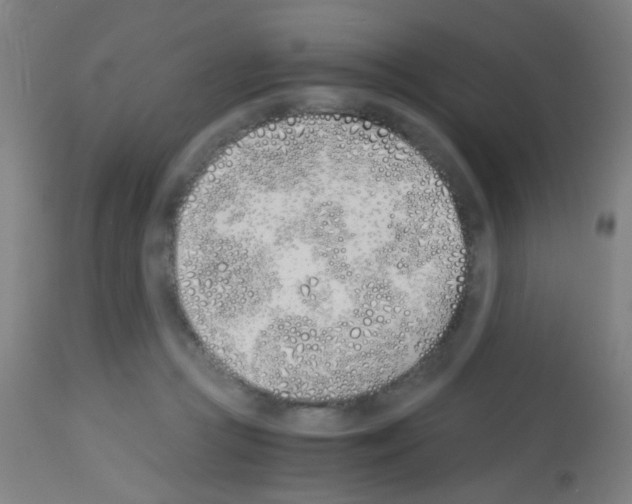 X0000113170361200910161313