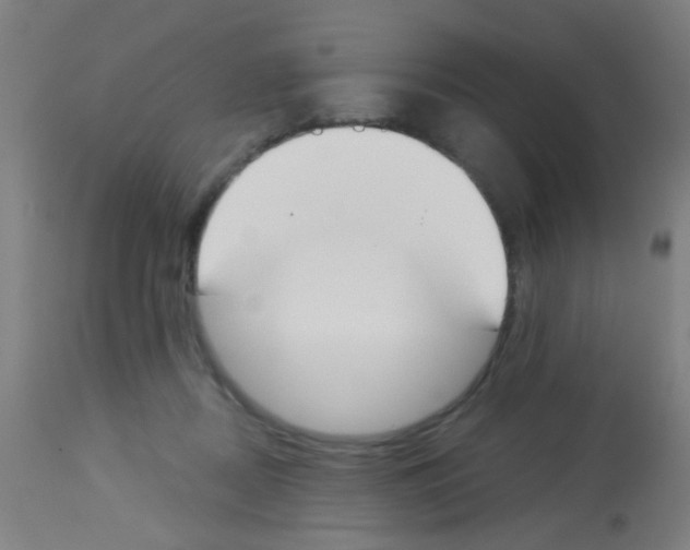 X0000113170362200910161313