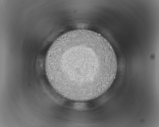 X0000113170363200910161313
