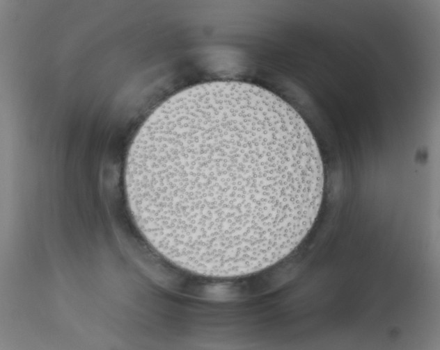 X0000113170365200910161313
