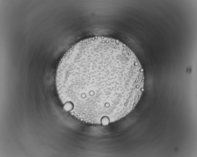 X0000113170367200910161313