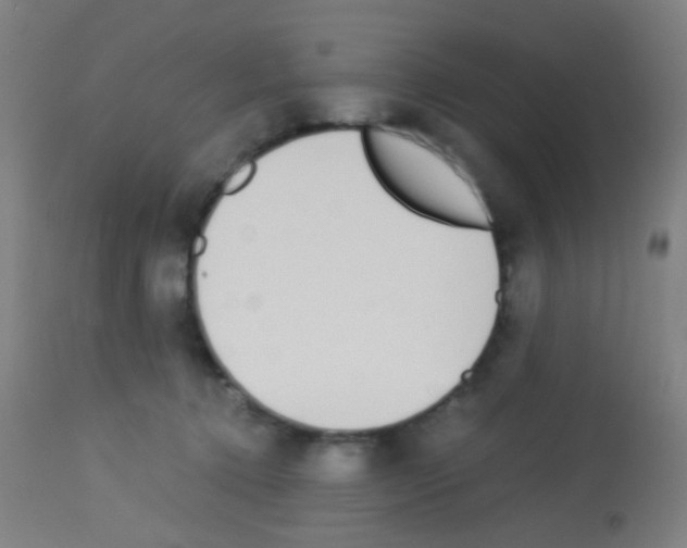 X0000113170368200910161313