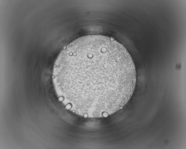 X0000113170369200910161313