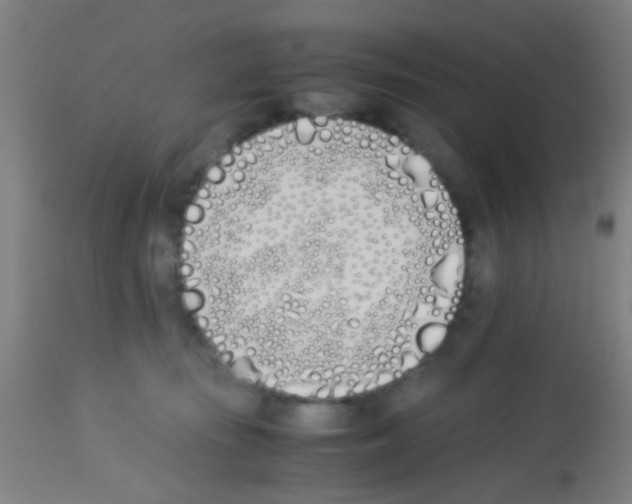X0000113170371200910161313