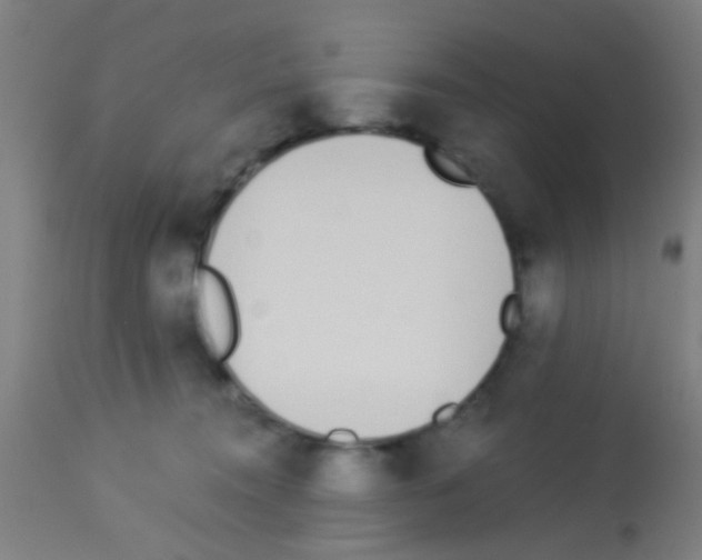 X0000113170372200910161313