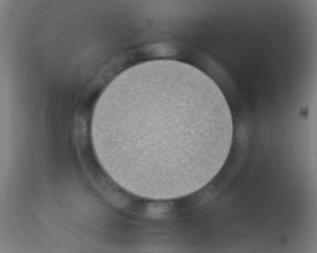 X0000113170373200910161313