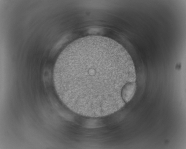 X0000113170375200910161313