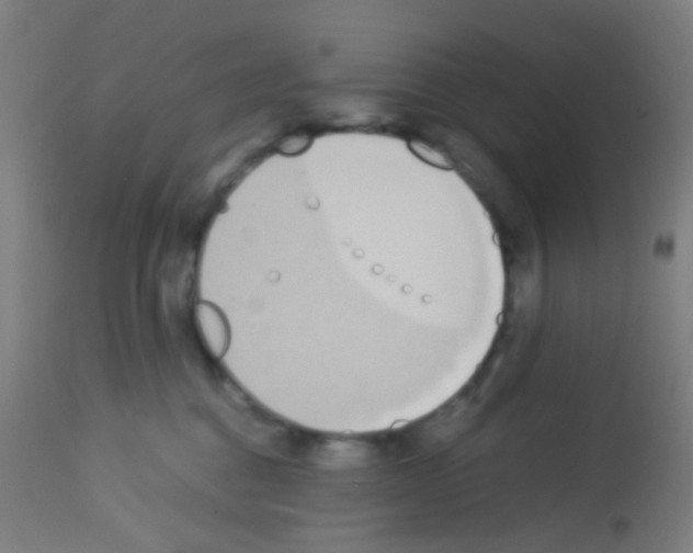 X0000113170376200910161313