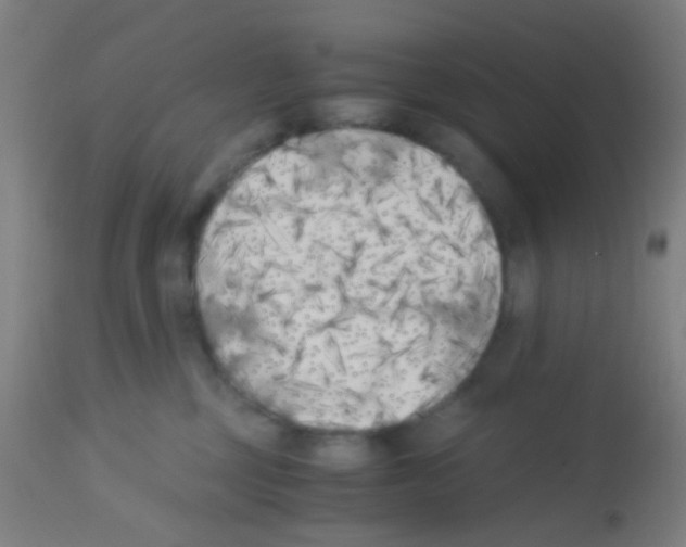 X0000113170377200910161313