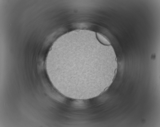 X0000113170381200910161313